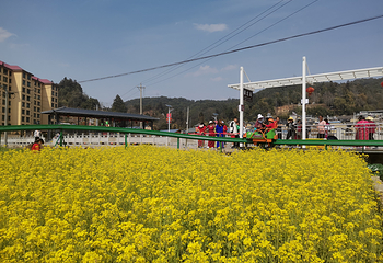 镇北艺术田园景区第 15 张图片