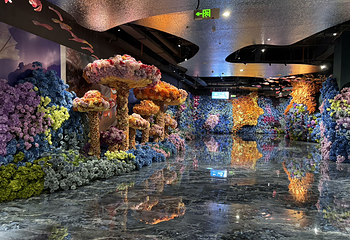 海趣花都海洋世界第 4 张图片
