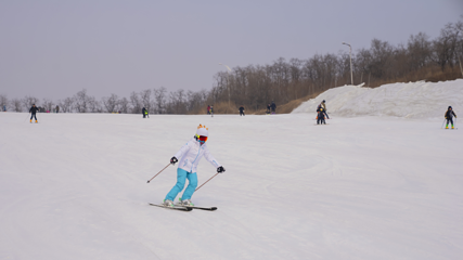 小马驹滑雪场第 17 张图片