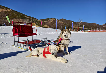 雪如意山谷乐园第 8 张图片