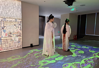 锦官入梦·蜀韵红楼——《红楼梦》数字艺术展第 9 张图片