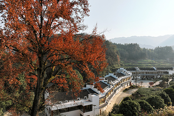 茶马古道风景区第 7 张图片