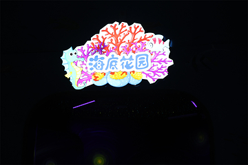 启阳极地海洋王国第 10 张图片