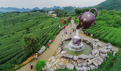 茶趣园第 6 张图片