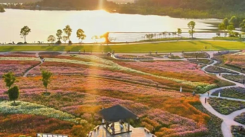 稻田主题艺术展