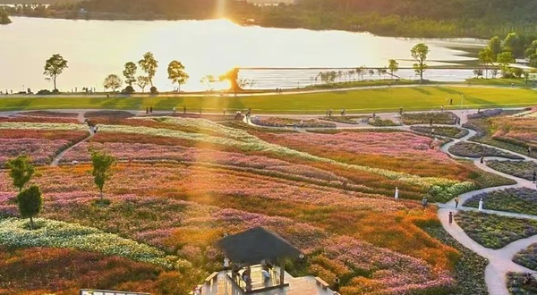 稻田主题艺术展