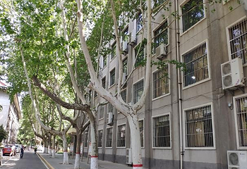 西北大学博物馆第 9 张图片