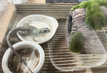 临汾海昌海洋探索馆第 80 张图片