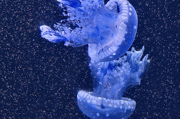 广州海洋世界第 3 张图片