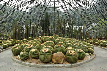 仙湖植物园第 36 张图片