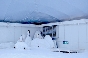 雪极星城市滑雪中心第 16 张图片