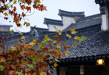 黎里古镇第 14 张图片