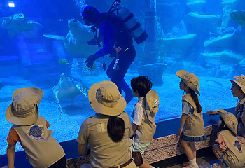 釜山SEA LIFE水族馆第 7 张图片