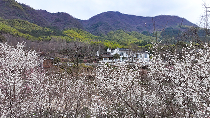 塔川第 83 张图片