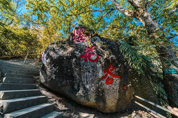 腾冲樱花谷森林温泉景区第 3 张图片