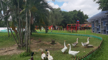 华阳湖喜哆哆欢乐园