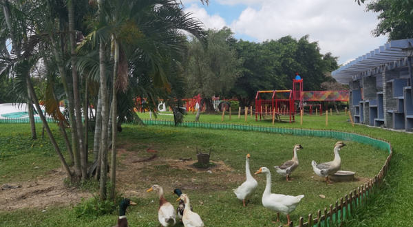 华阳湖喜哆哆欢乐园