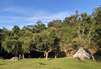 天龙溪自然风景区第 15 张图片