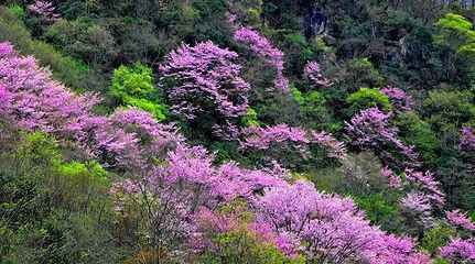 唐家河自然风景区第 5 张图片