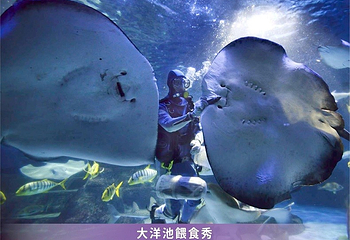 远雄海洋公园第 18 张图片