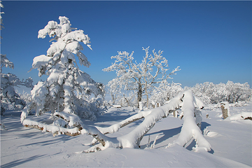 雪乡雪世界欢乐谷第 8 张图片