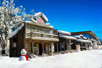 东北亚滑雪场第 18 张图片