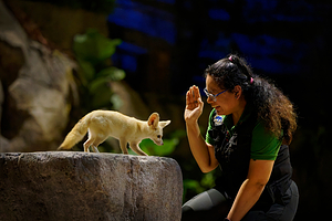 夜间野生动物园