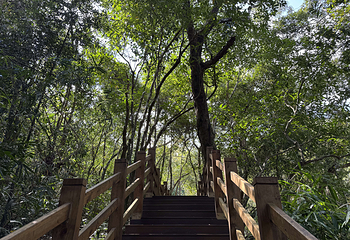 霸王岭第 54 张图片