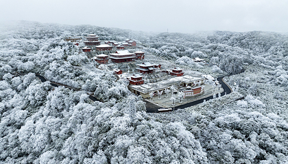 金佛山第 51 张图片