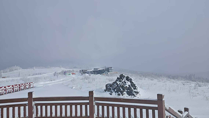 雪乡狗熊岭景区第 58 张图片