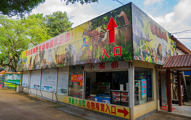 西双版纳野生动物园第 19 张图片