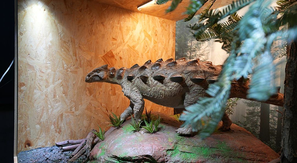 AURORA极光·光影艺术中心