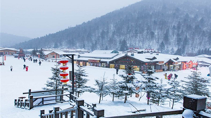 青岛北国林海雪乡第 1 张图片