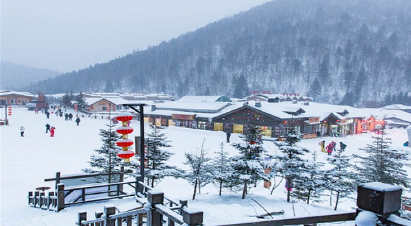 青岛北国林海雪乡