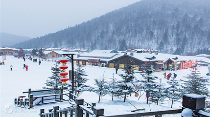 青岛北国林海雪乡第 2 张图片
