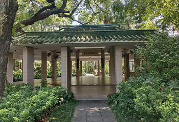 广州兰圃第 8 张图片