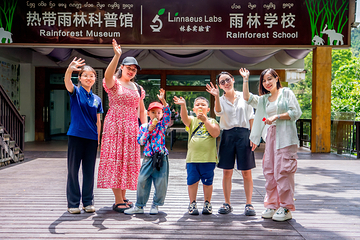 西双版纳热带雨林国家公园望天树景区第 88 张图片