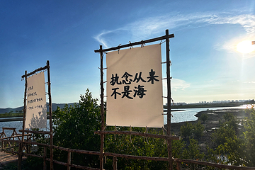 海虞姬亲子浆板赶海营地第 9 张图片