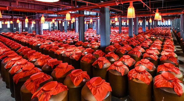 今世缘旅游景区