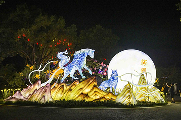 梅园第 128 张图片