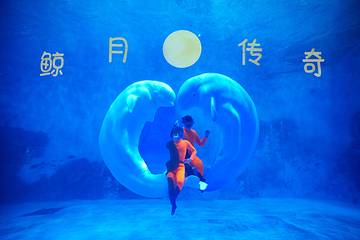 海合安天津极地海洋公园第 134 张图片