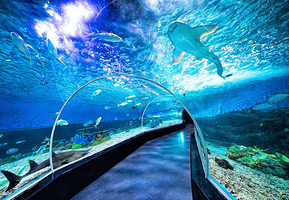 马尼拉海洋公园