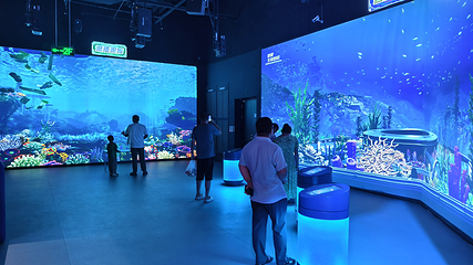 威海科幻海世界探险乐园第 17 张图片