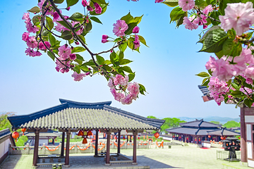 三国水浒景区(中央电视台无锡影视基地)第 12 张图片