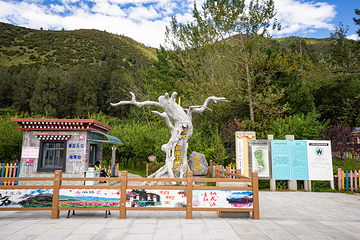 世界柏树王园林第 5 张图片