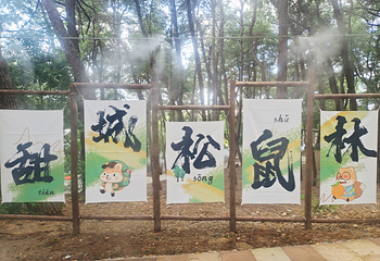 甜城松鼠林乐园第 23 张图片