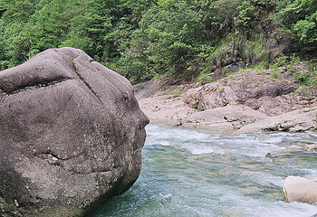 鄣山大峡谷第 18 张图片