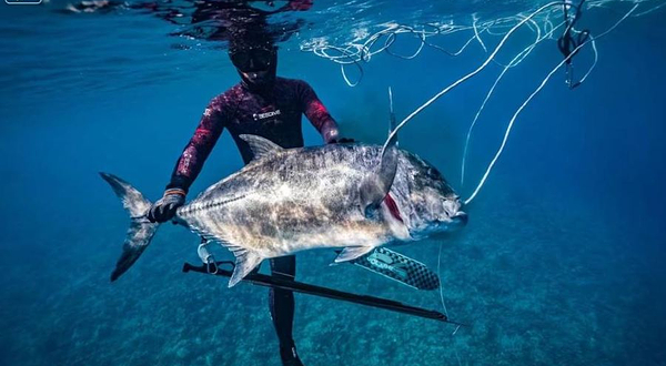 松鼠游艇帆船海钓俱乐部