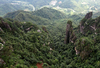 大瑶山盘王界景区第 96 张图片