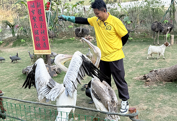 猫爪谷景区第 13 张图片